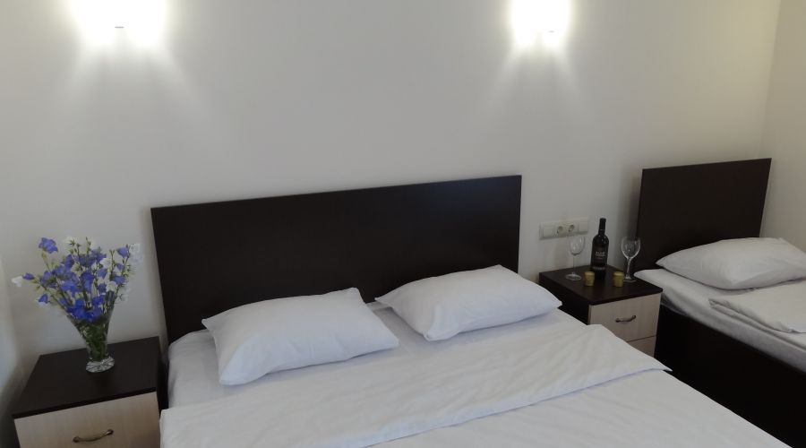 Делюкс 3-местный 1-комнатный с балконом и видом на море 