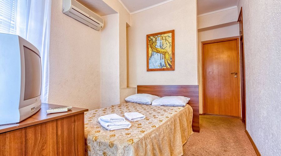 Стандарт 1-местный