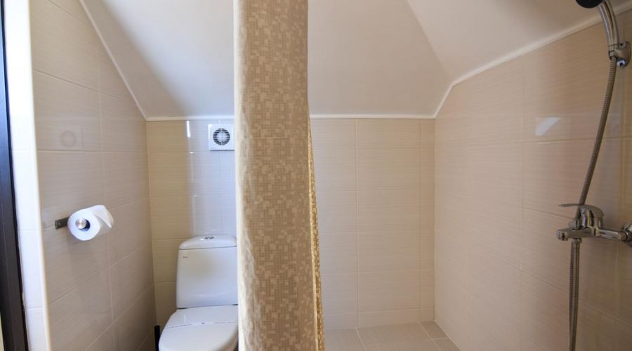 Апартаменты 3-местные  2-комн.с 1 спальней мансарда