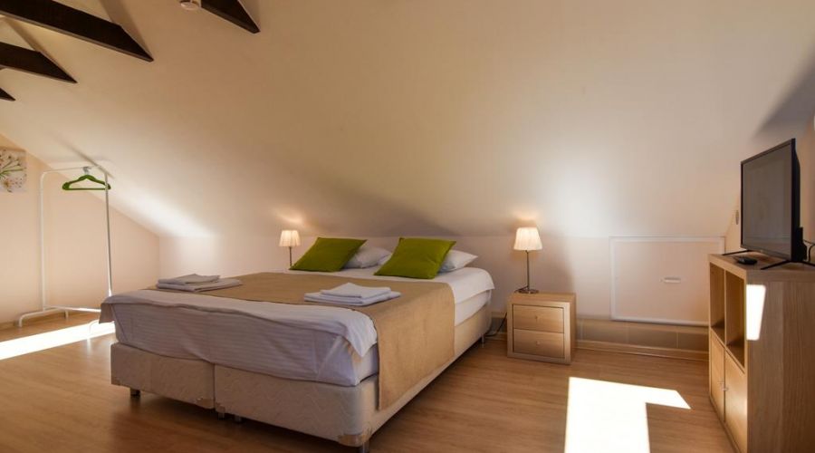 Апартаменты 3-местные  2-комн.с 1 спальней мансарда