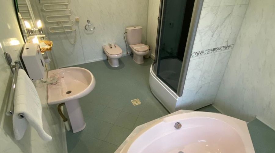 Студио Пинк 2-местный 2-комнатный