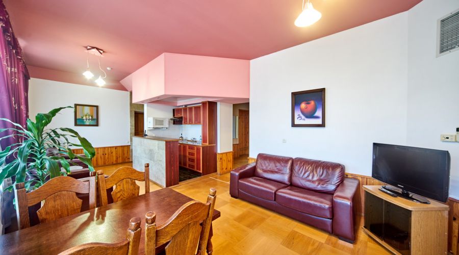 Апартаменты Приват 5-местные 4-комнатные