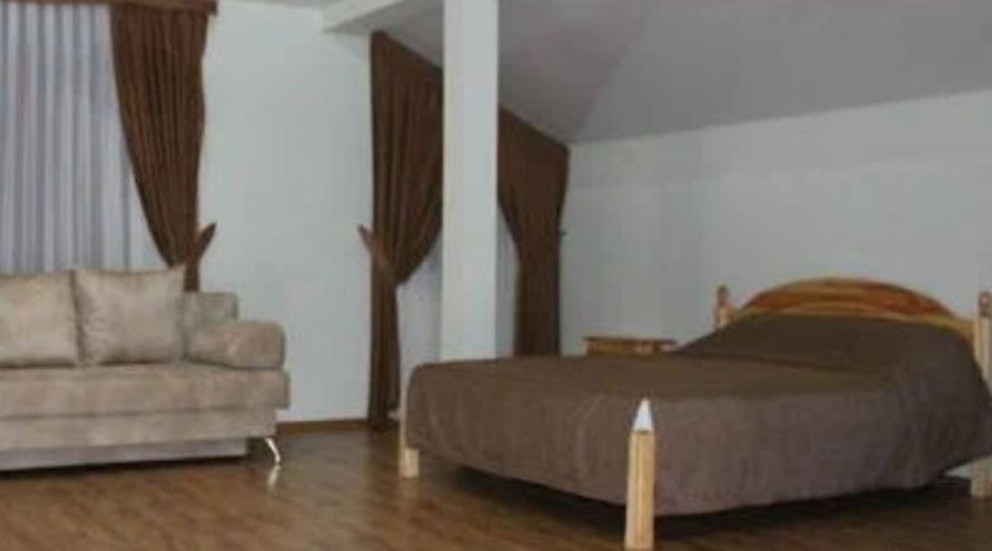 Полулюкс 2-местный 