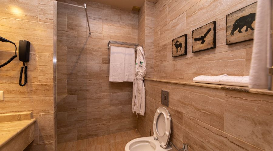 Люкс 2-местный