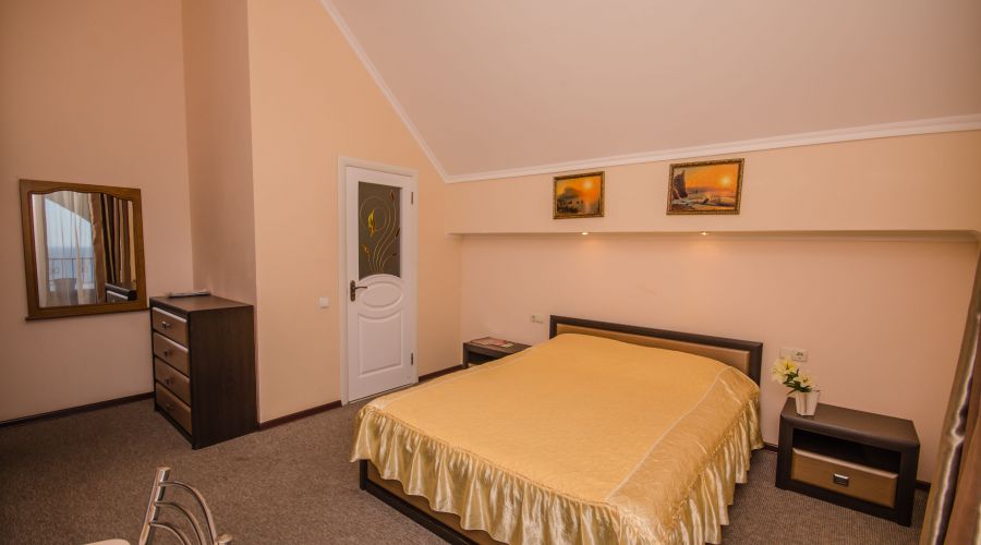 Полулюкс 2-местный 1-комнатный с видом на море №11