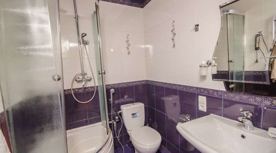 Стандартный 2-местный 1-комнатный без балкона №8