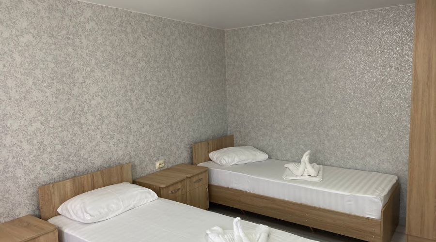 Эконом 3-местный