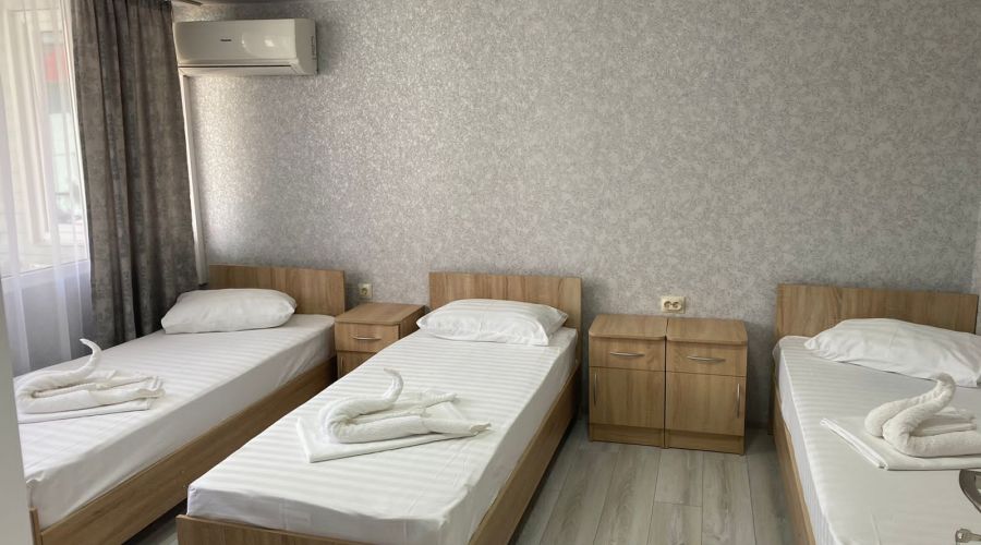 Эконом 3-местный