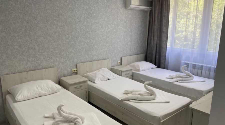 Эконом 3-местный