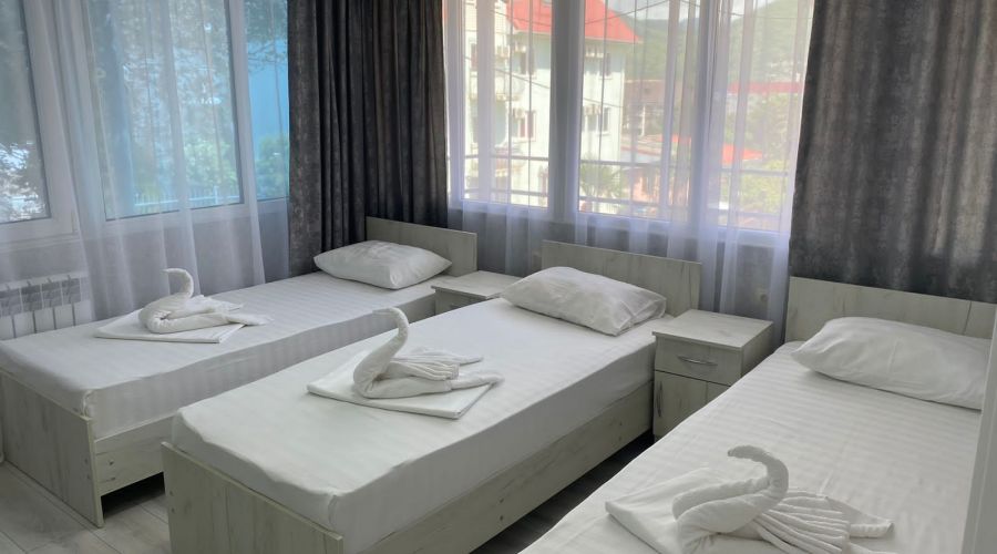 Эконом 3-местный