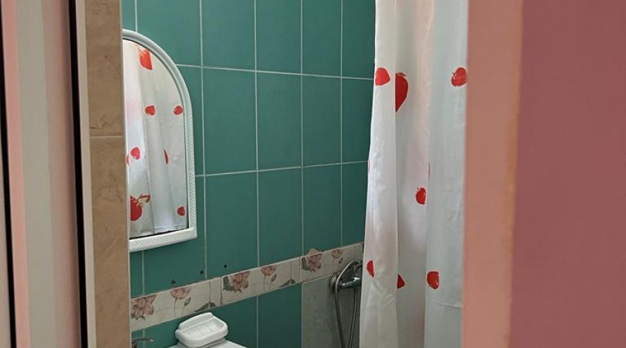 Стандарт 2-местный № 208