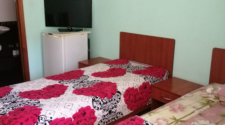 Стандарт 2-местный TWIN