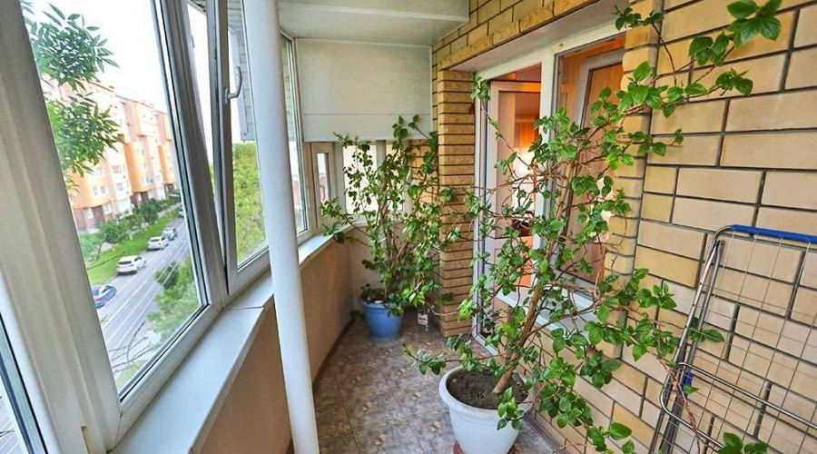 Студия 4-местный