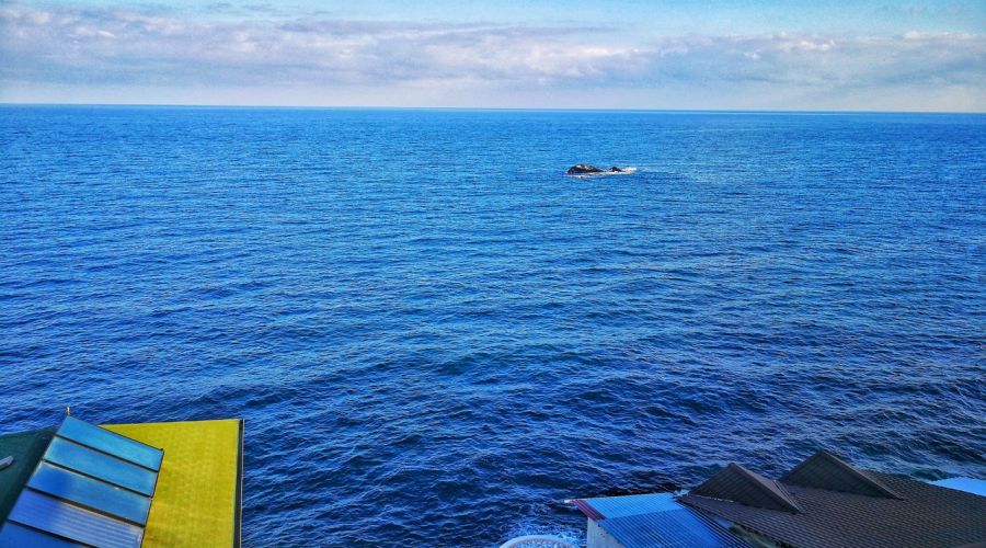 Комфорт 2-местный 1-комнатный