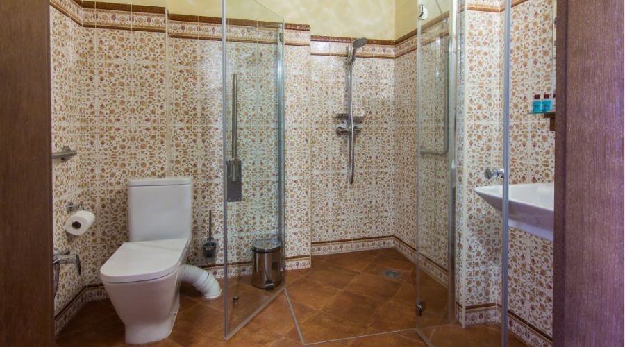 Стандартный 2-местный 1-комнатный для людей с ограниченными возможностями