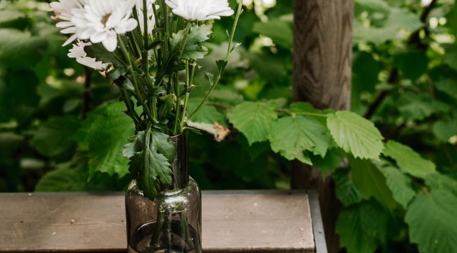 Suite 2-местный, 2-комнатный