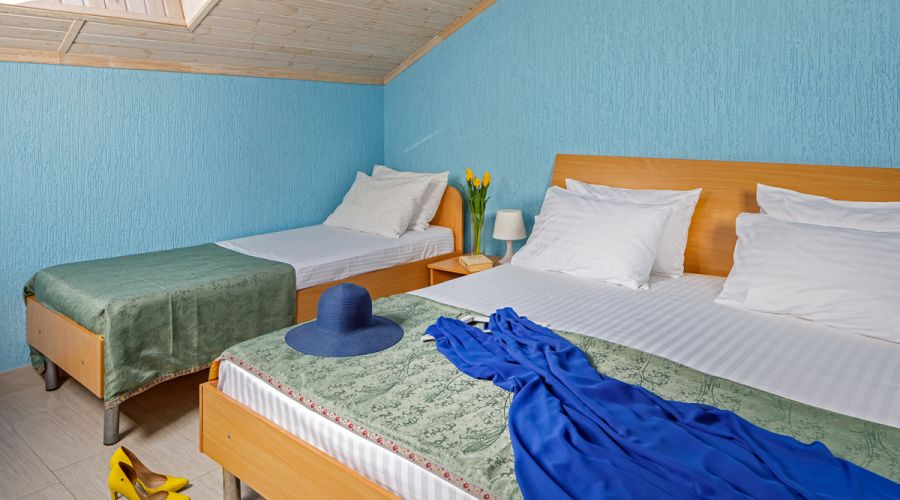 Комфорт Плюс на мансарде 4-местный