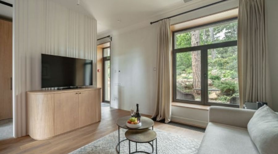 Suite 3-местный Premium