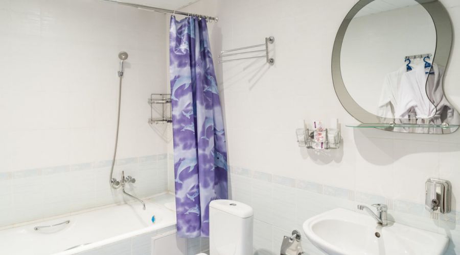 Комфорт 2-местный 1-комнатный