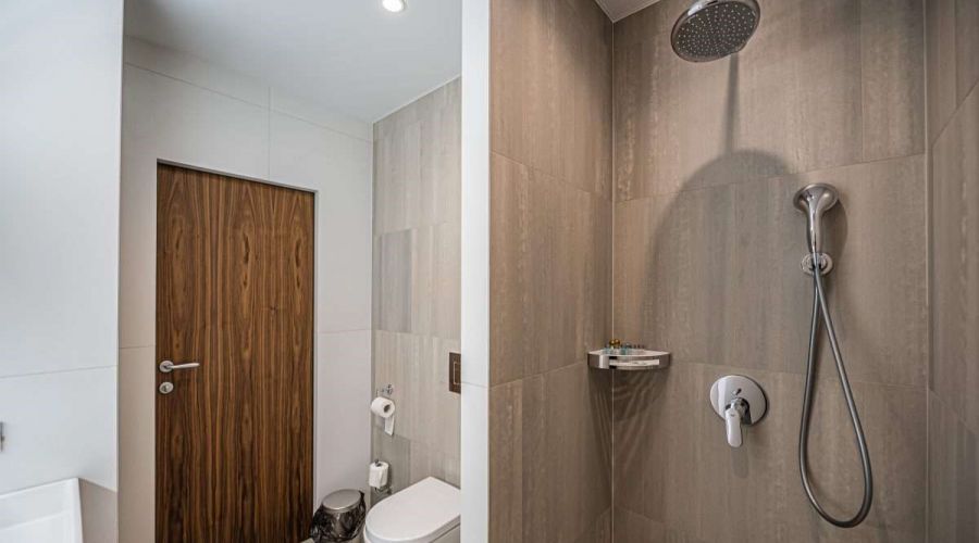 Семейный 2-местный Forest