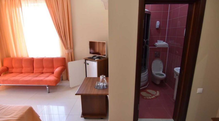 Полулюкс 3-местный