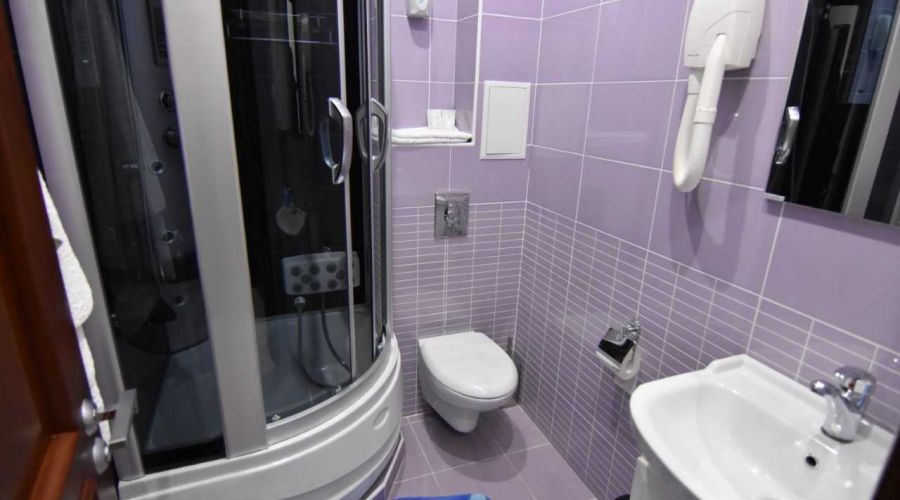 Полулюкс 2-местный