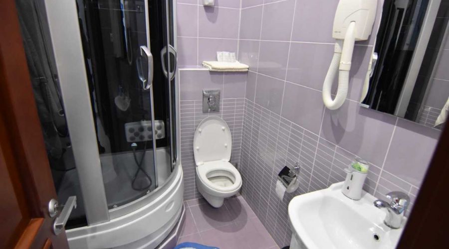 Полулюкс 3-местный