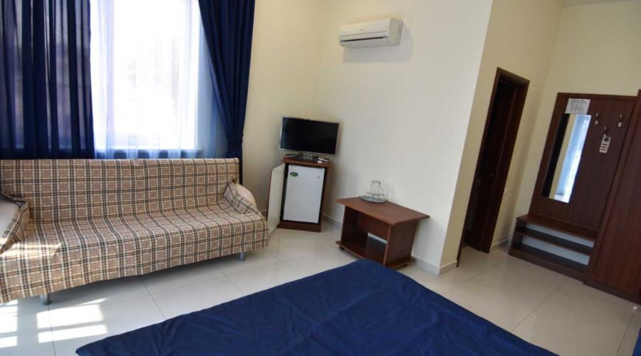 Полулюкс 3-местный