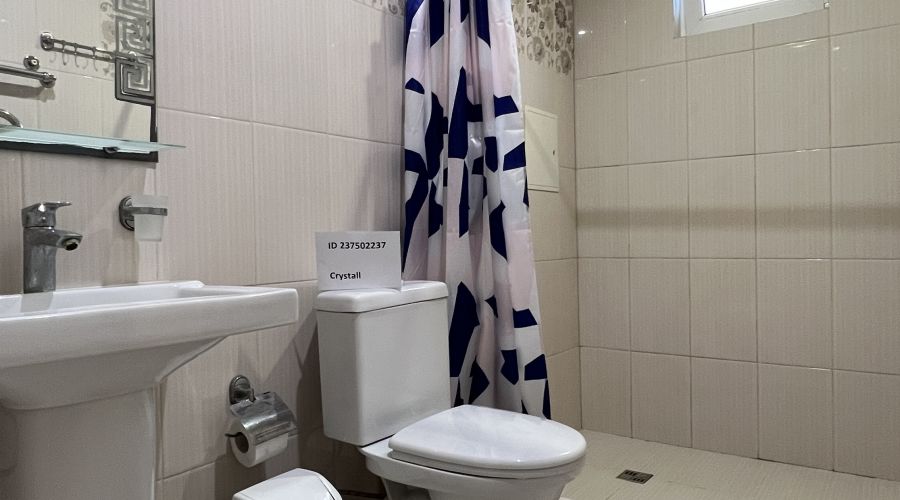 Студия 3 местная с кухней