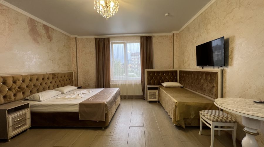 Студия 3 местная с кухней