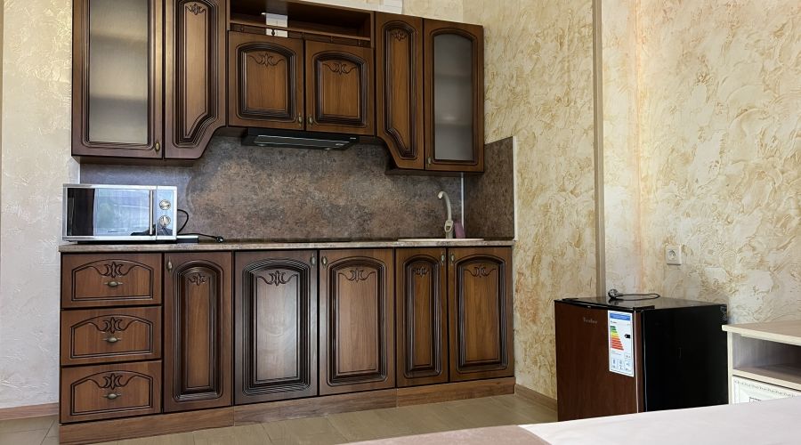 Студия 3 местная с кухней