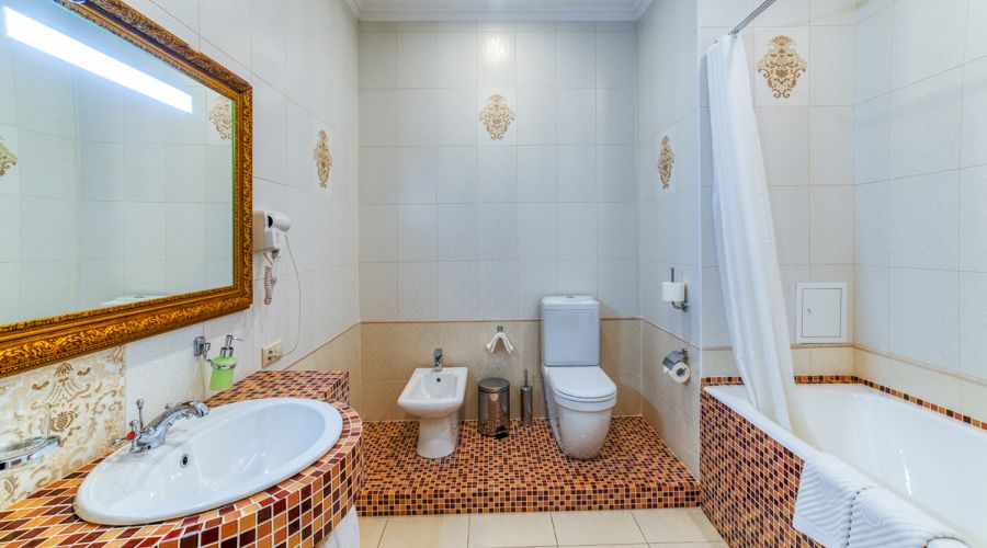 Suite 1-комнатный мини сюит