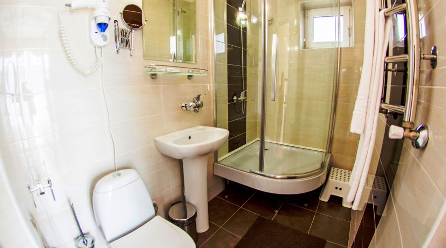 Стандарт 2-местный без балкона (МАНСАРДА)