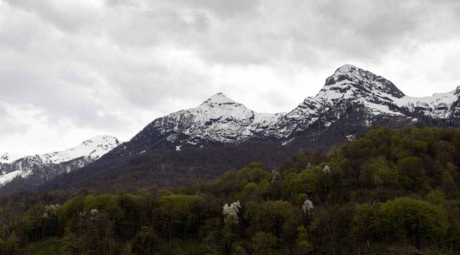 Делюкс 2-местный с терассой