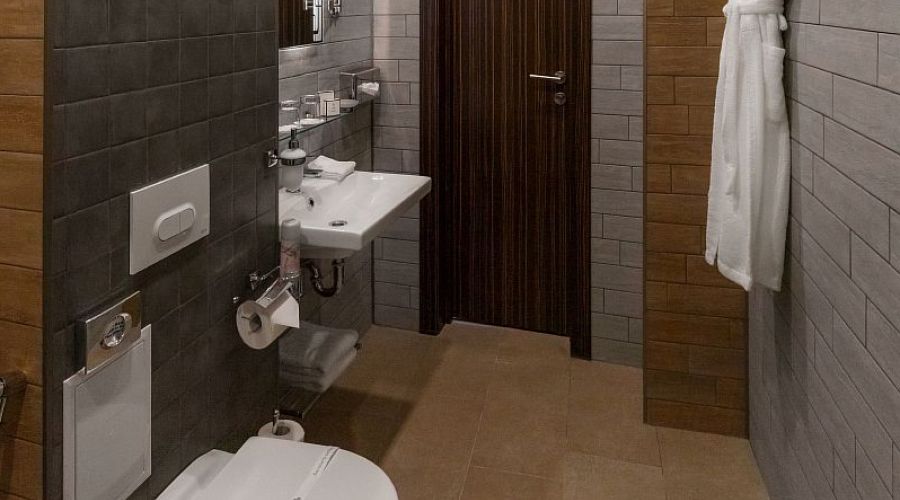 Люкс 2-местный