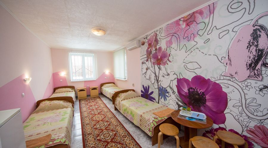 Эконом 4-местный №4-5