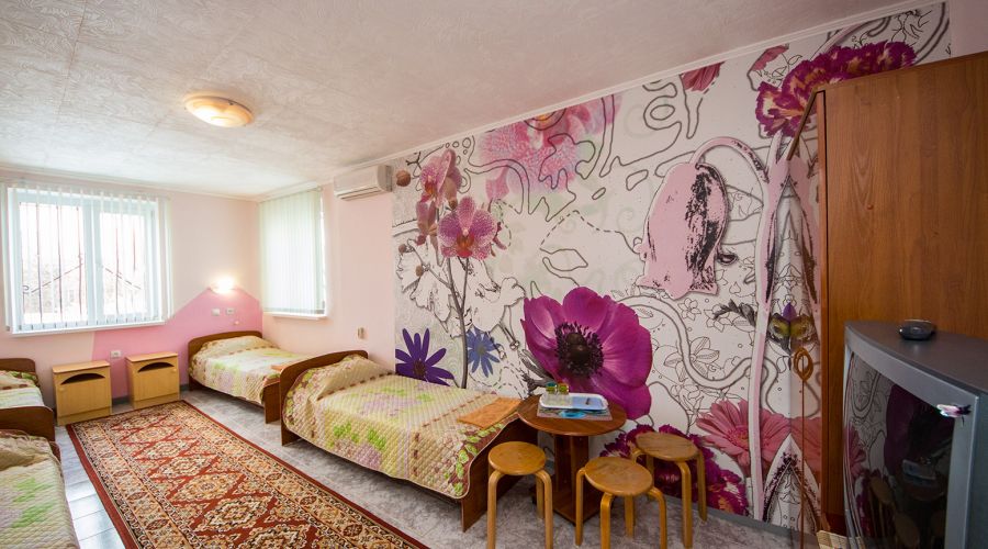 Эконом 4-местный №4-5