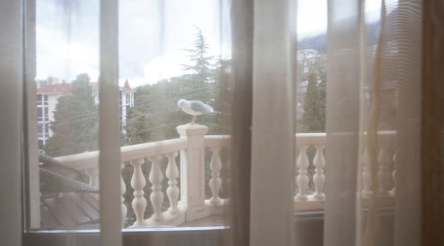 Полулюкс 2-местный 1-комнатный корпус Глория