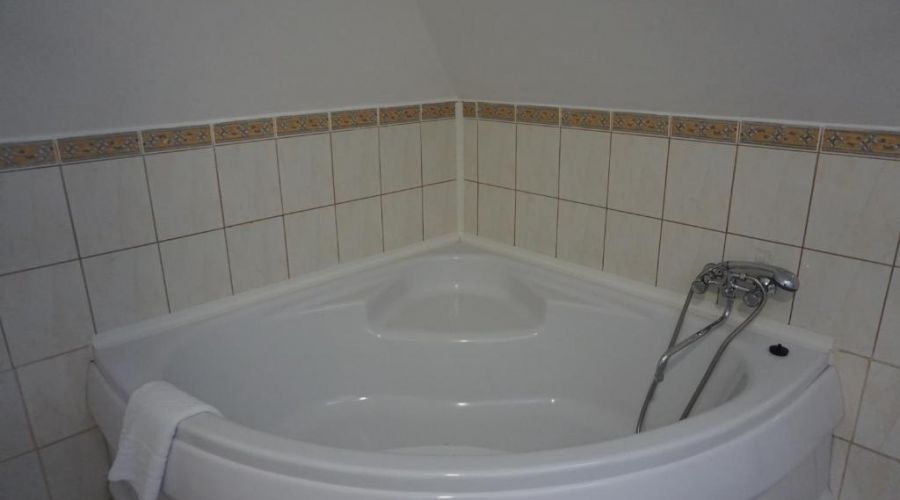 Полулюкс 2-местный мансардный