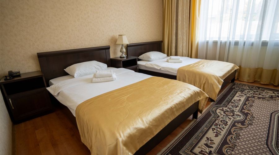 Стандарт 2-местный TWIN