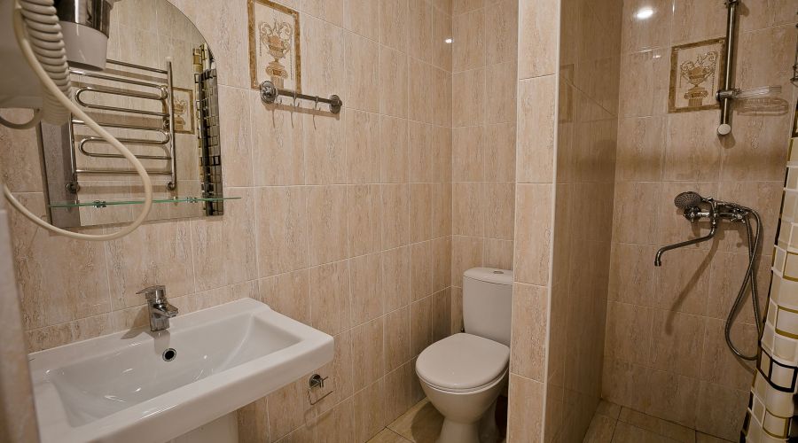 Люкс 3-местный у бас. 1 этаж