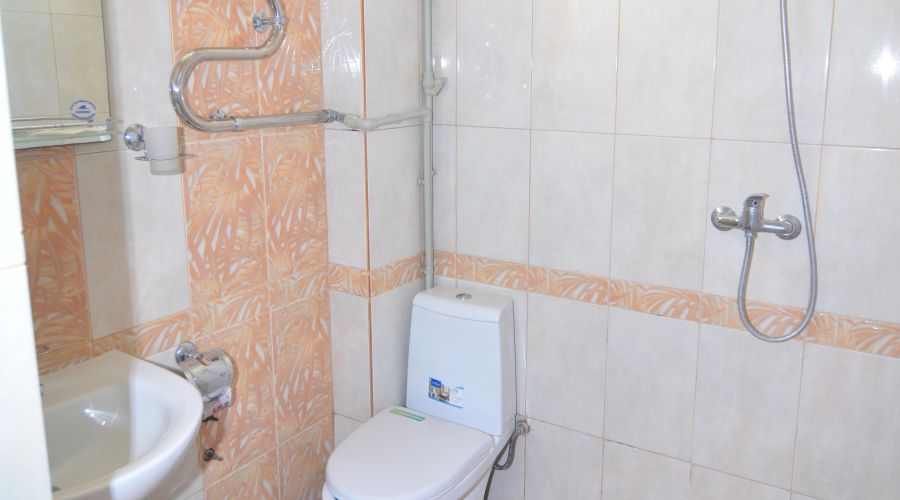 Эконом 3-местный корп. 2 