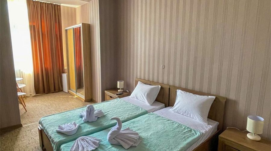 Эконом Плюс 2-местный