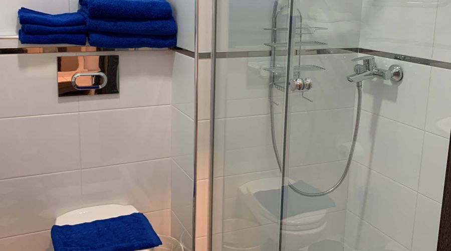 Комфорт Полулюкс 4-х местный