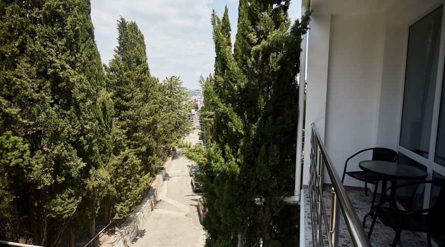 Люкс 3-местный 1-комнатный