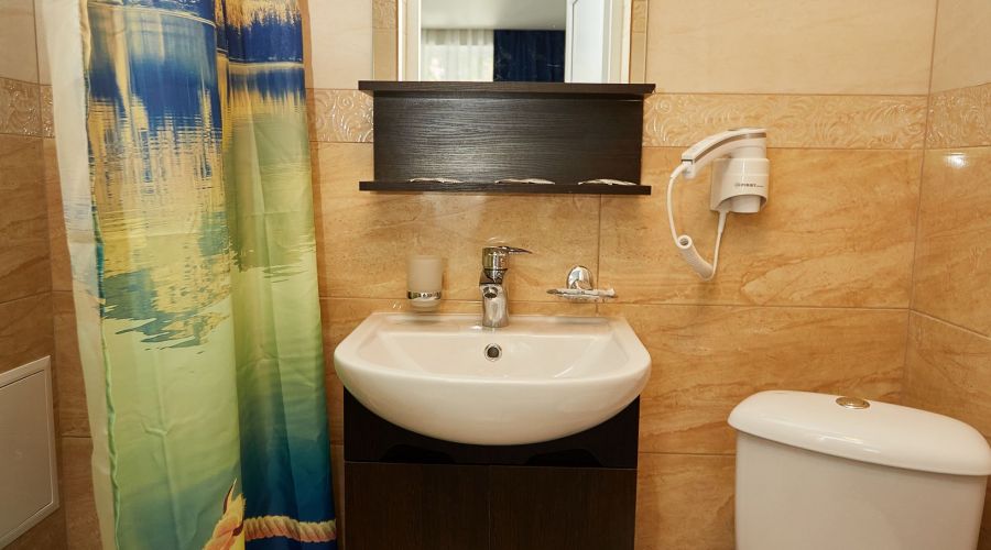 Люкс 3-местный 1-комнатный