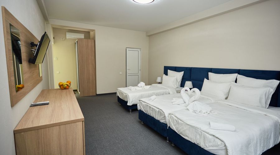 Люкс 3-местный 1-комнатный