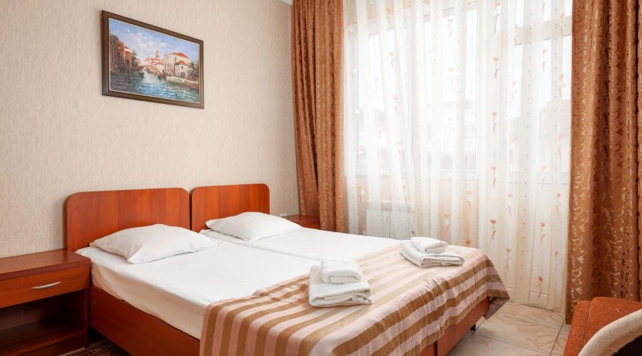 Полулюкс 2-местный