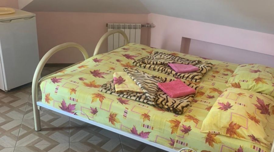 Стандарт 1-мест мансардный без балкона