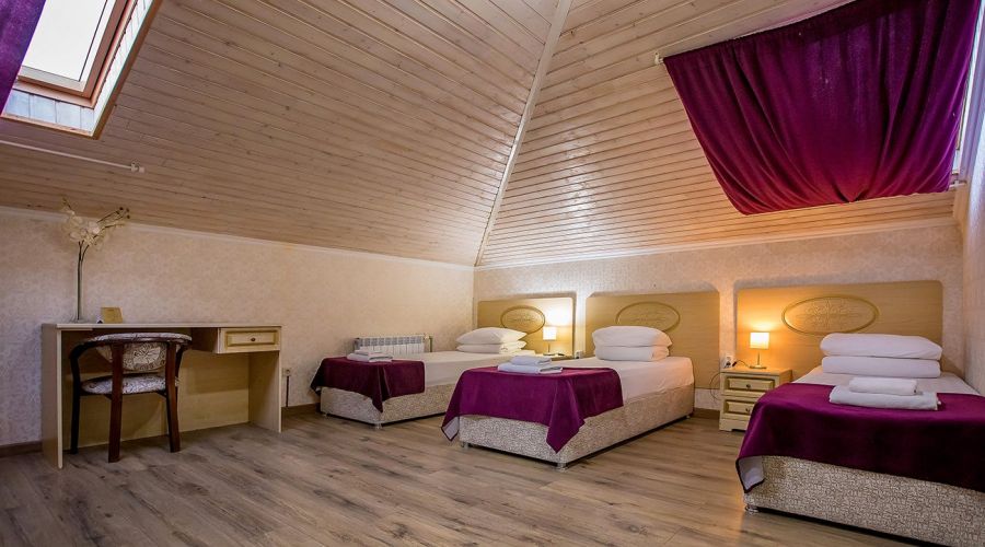 Апартаменты 5-местный мансардный с кухонным блоком